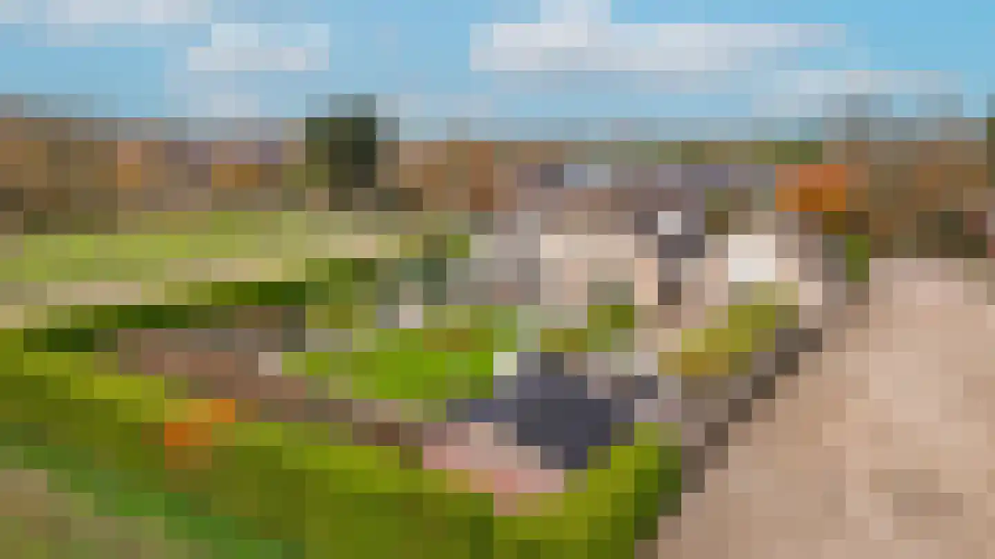 Veersteeg 19 Kerkdriel thumbnail 7