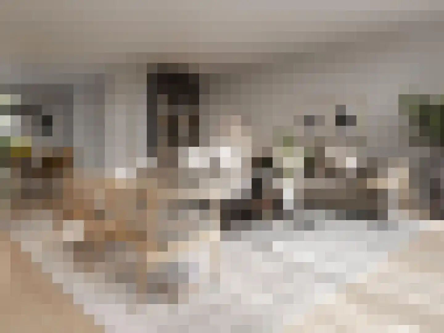 Veersteeg 23 Kerkdriel thumbnail 6