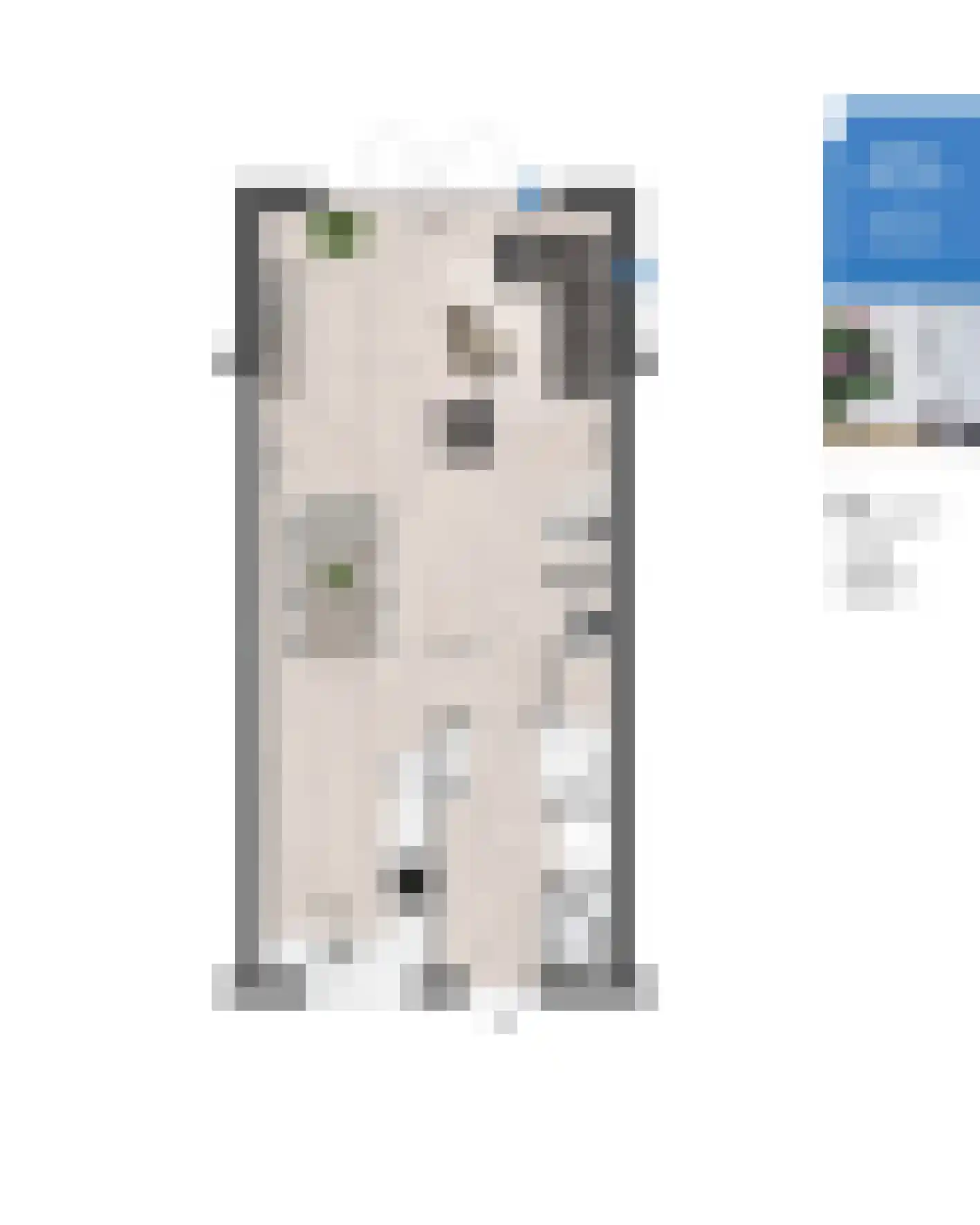 Veersteeg 23 Kerkdriel thumbnail 9