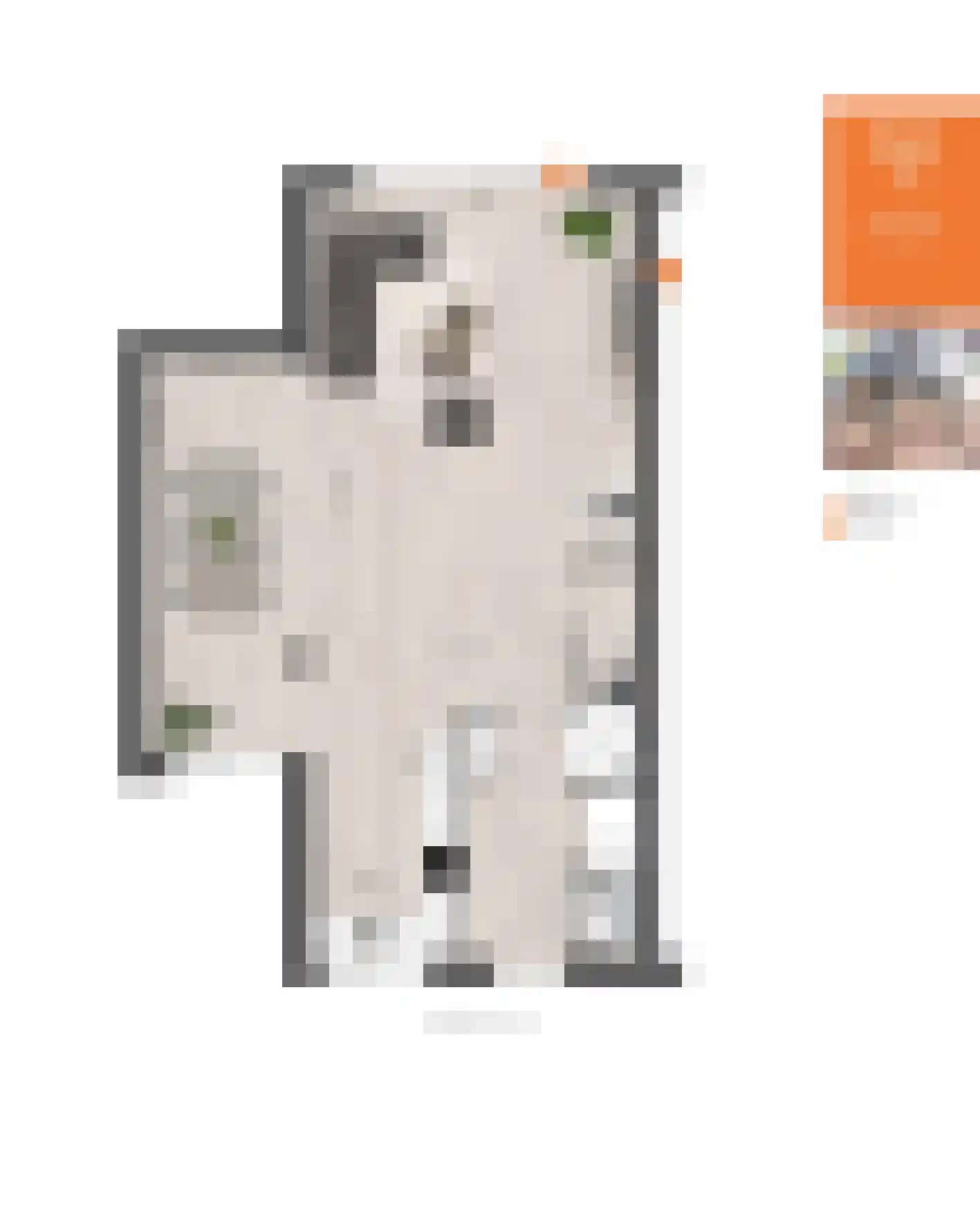 Veersteeg 27 Kerkdriel thumbnail 10