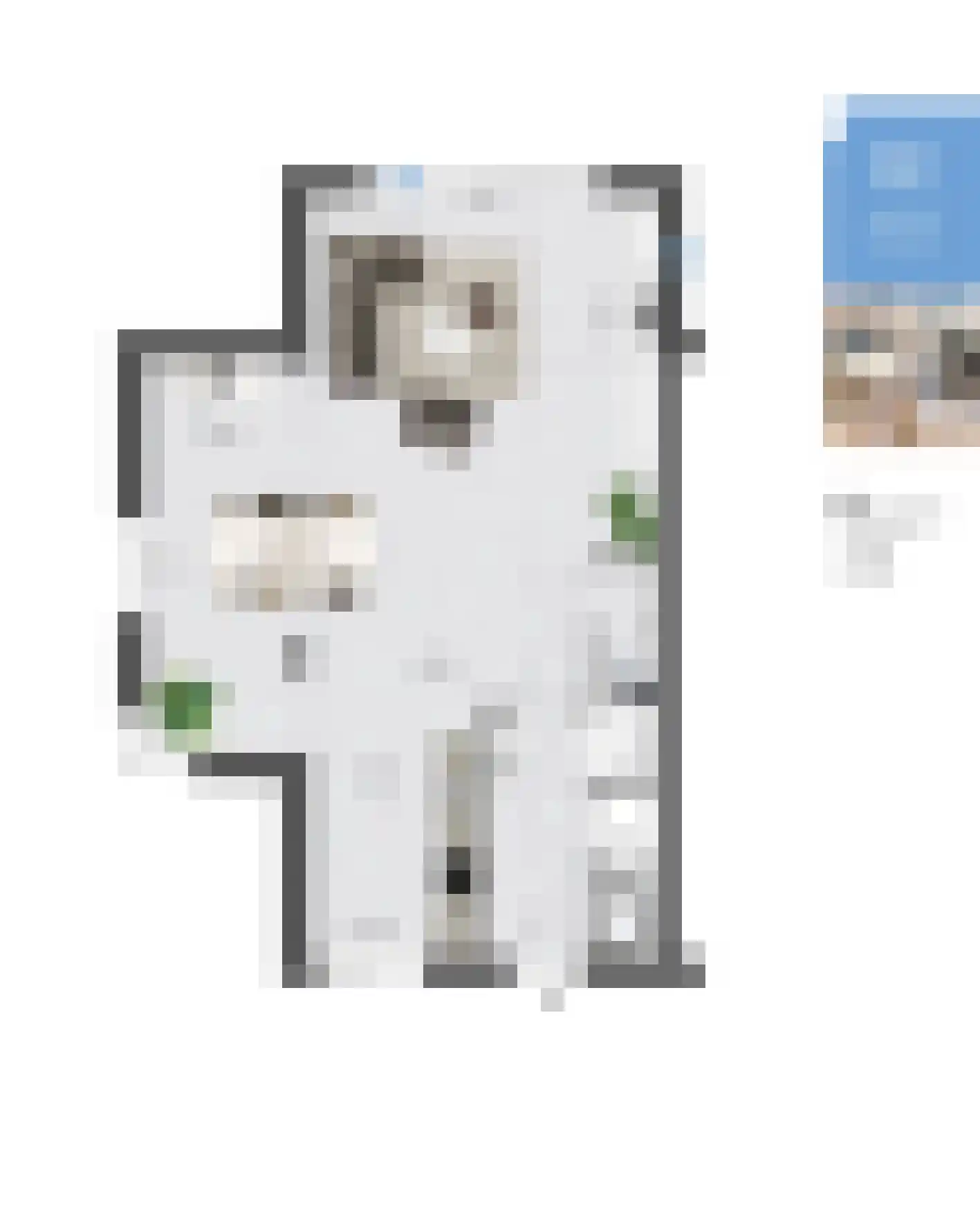 Veersteeg 27 Kerkdriel thumbnail 14