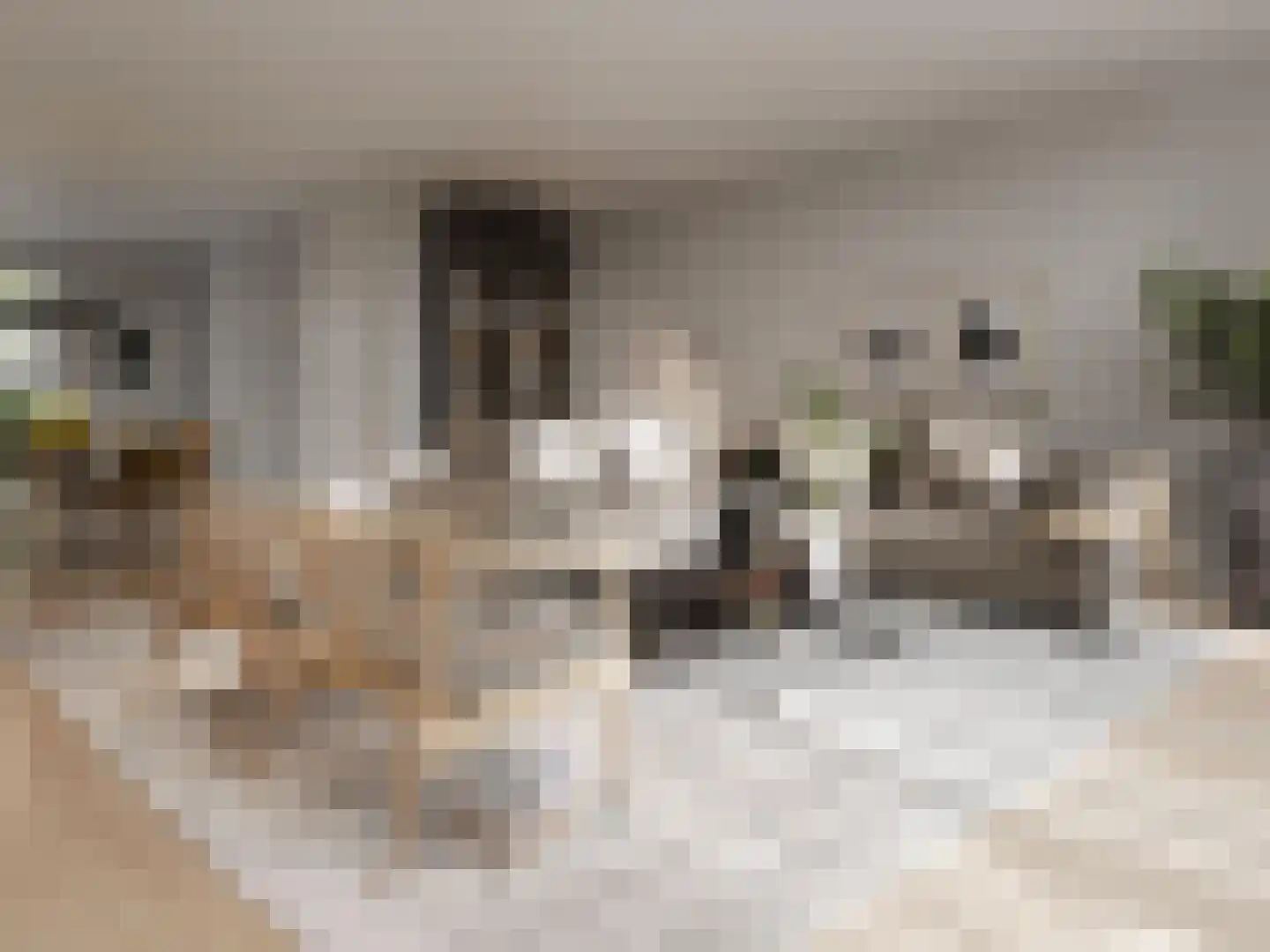Veersteeg 31 Kerkdriel thumbnail 5