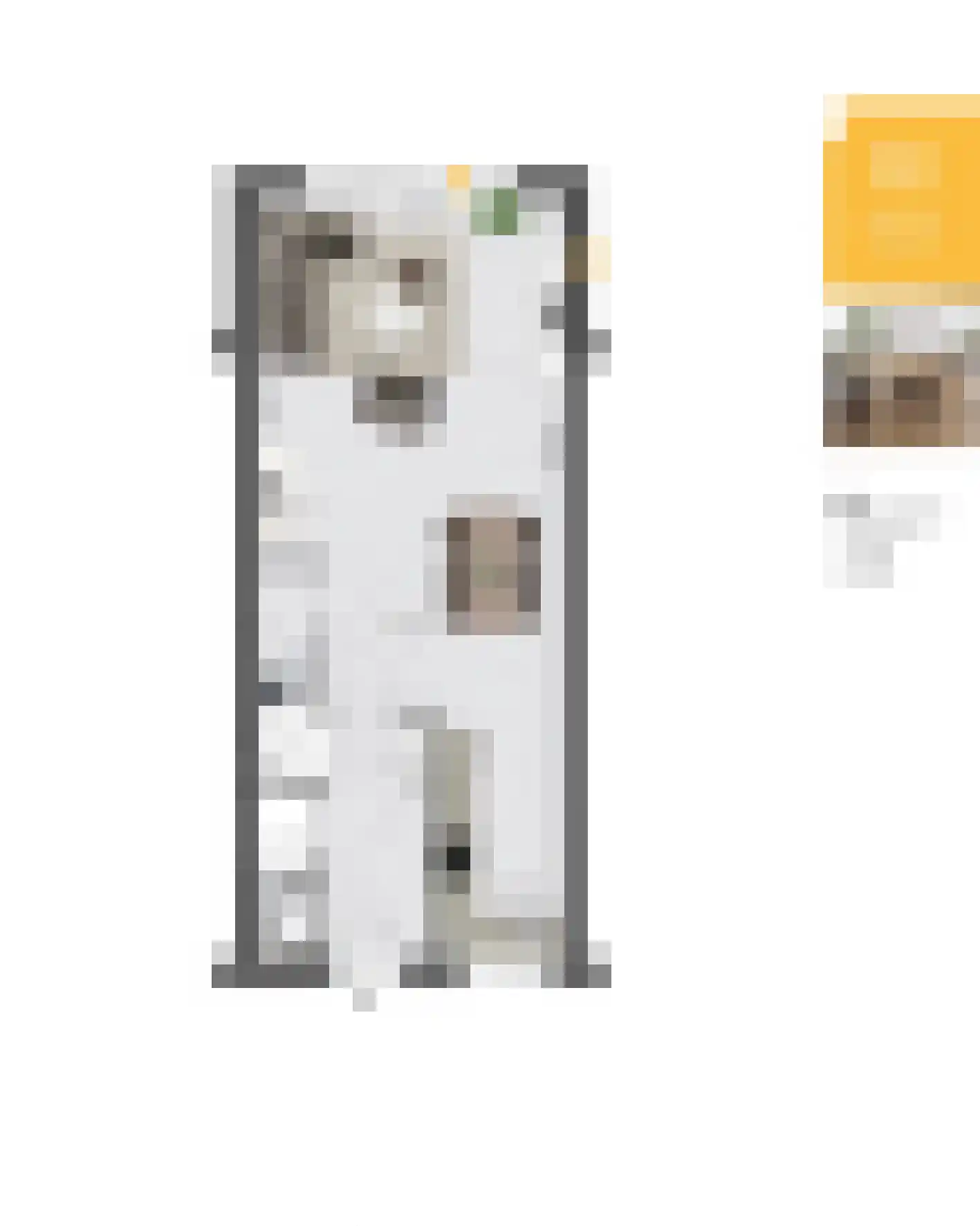 Veersteeg 4 Kerkdriel thumbnail 9