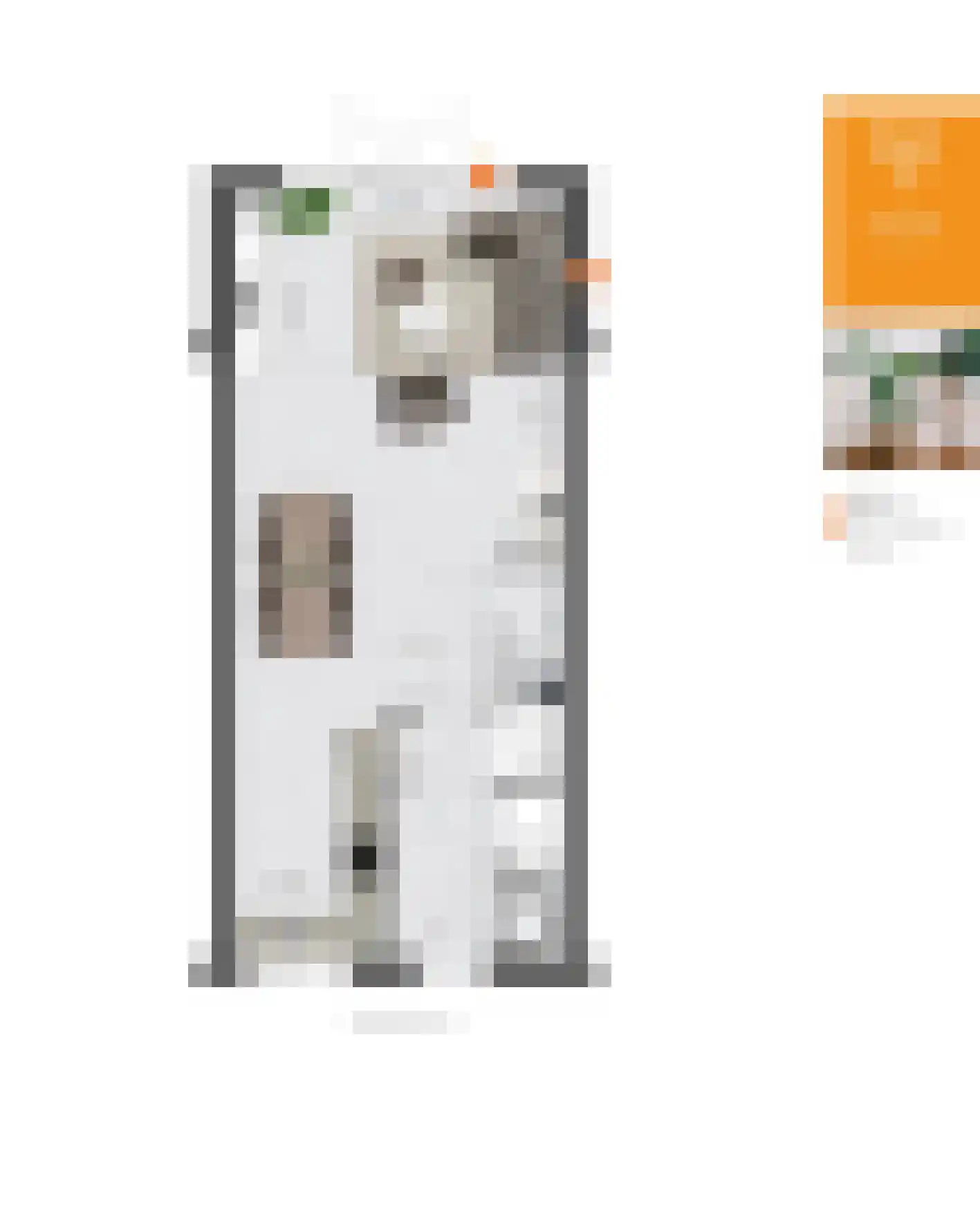 Veersteeg 6 Kerkdriel thumbnail 4