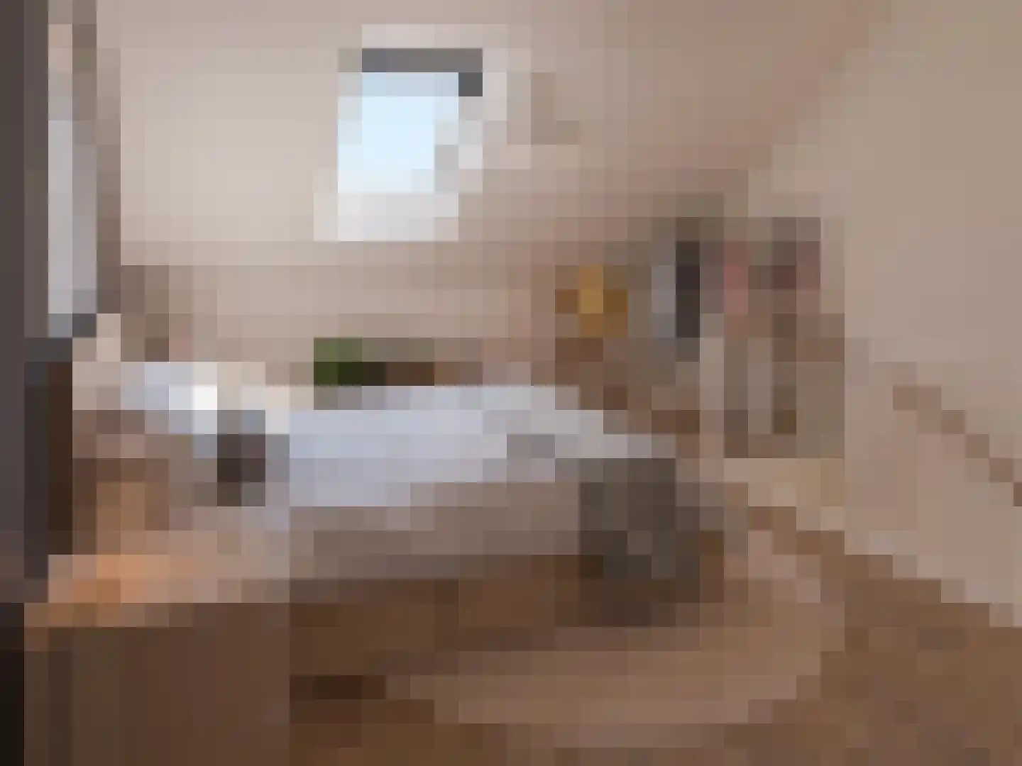 Veersteeg 7 Kerkdriel thumbnail 4