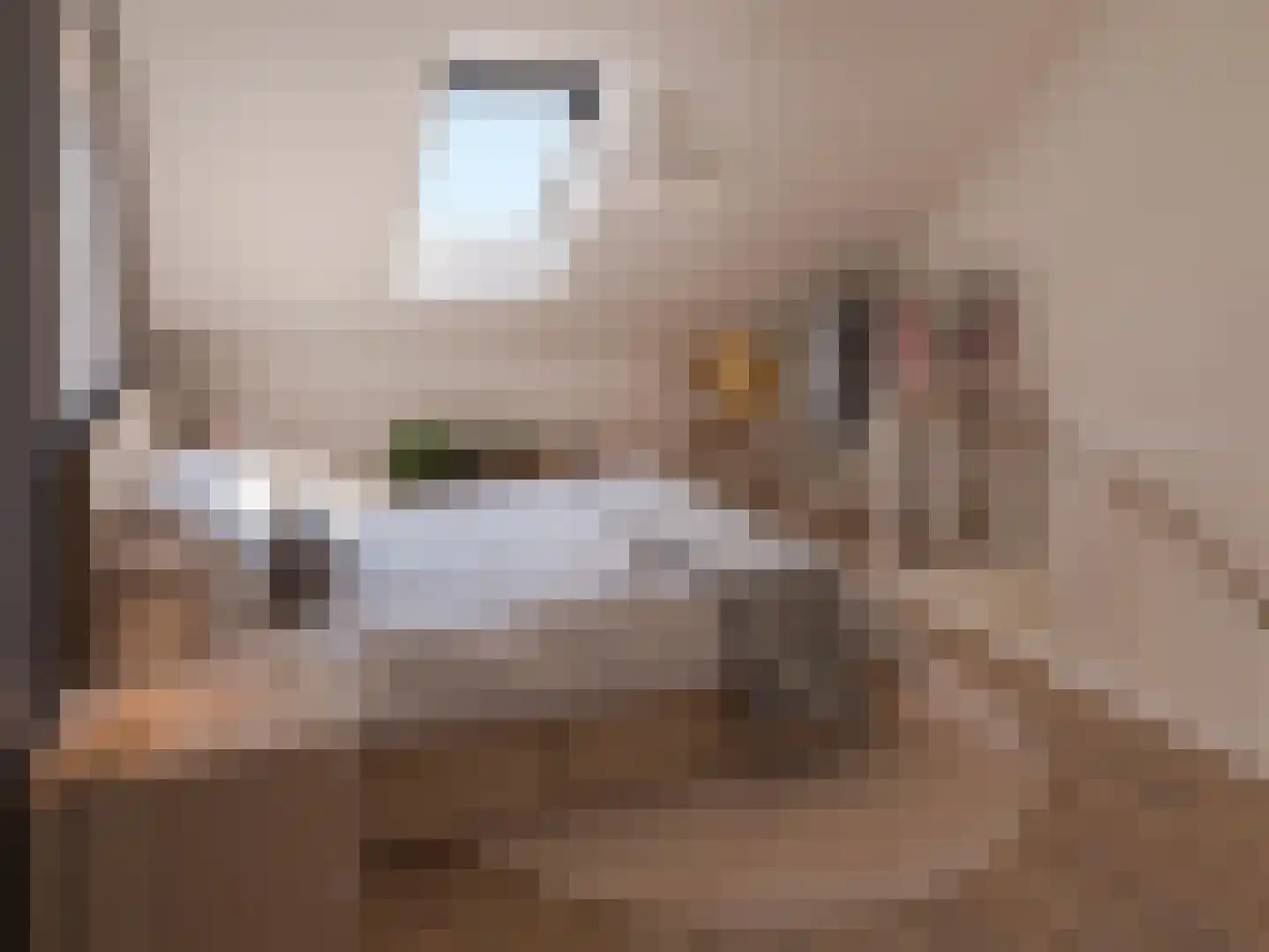 Veersteeg 7 Kerkdriel thumbnail 4