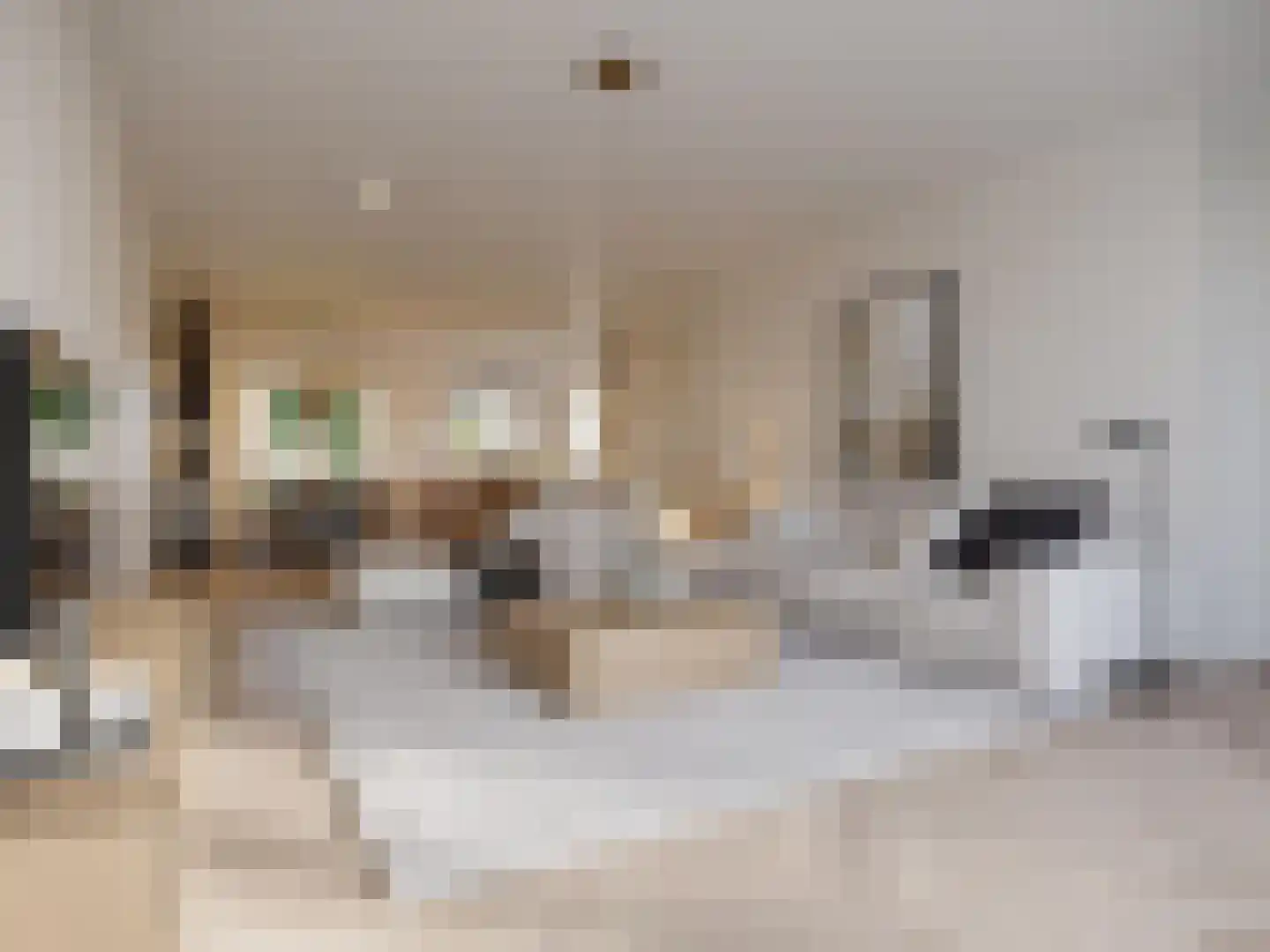 Veersteeg 7 Kerkdriel thumbnail 8