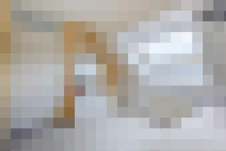 Veerstoep 18 Sliedrecht thumbnail 20