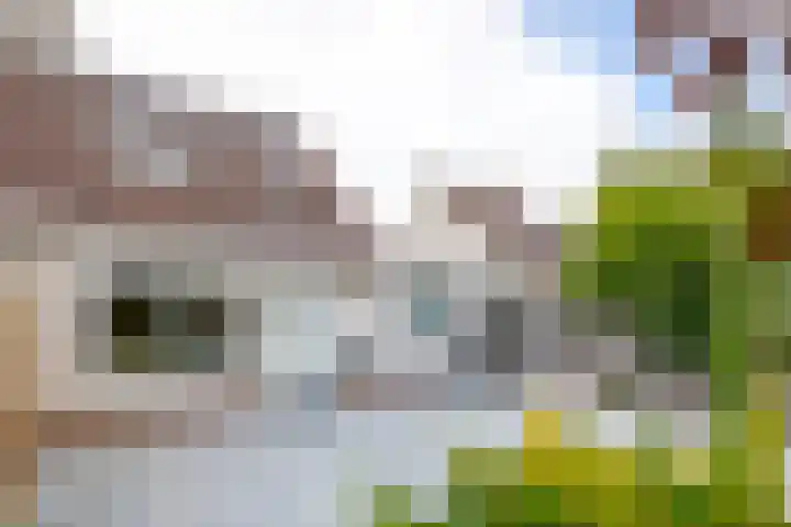 Veerstoep 18 Sliedrecht thumbnail 25