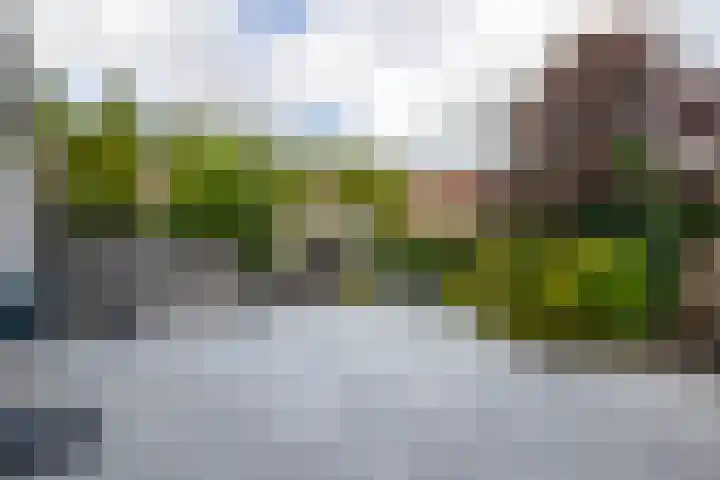 Veerstoep 18 Sliedrecht thumbnail 26