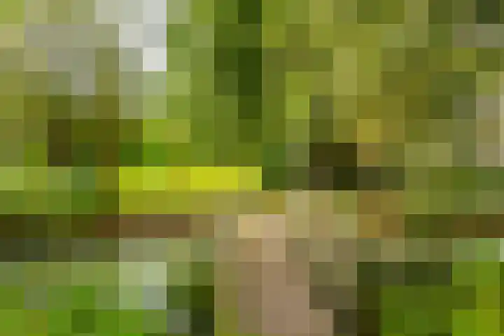 Veerstoep 18 Sliedrecht thumbnail 28