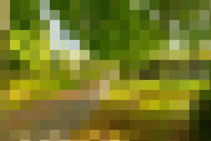 Veerstoep 18 Sliedrecht thumbnail 29