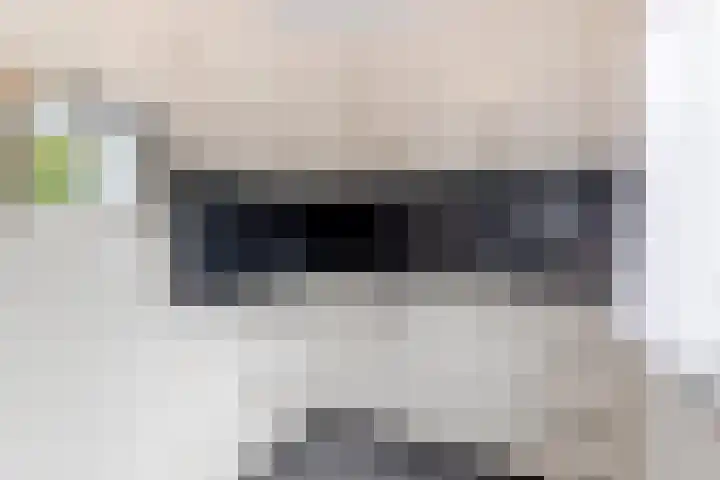 Veerstoep 18 Sliedrecht thumbnail 9