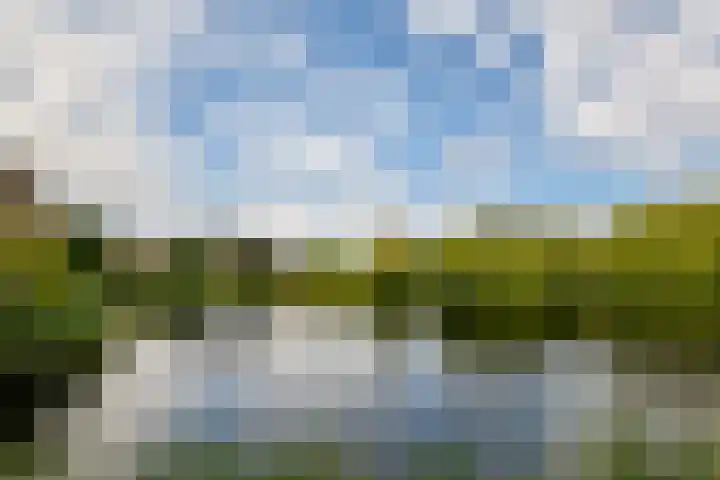 Veerstraat 1 1 Amsterdam thumbnail 17