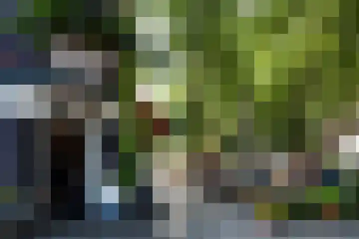 Veerstraat 1 1 Amsterdam thumbnail 19