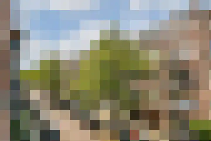 Veerstraat 1 1 Amsterdam thumbnail 4