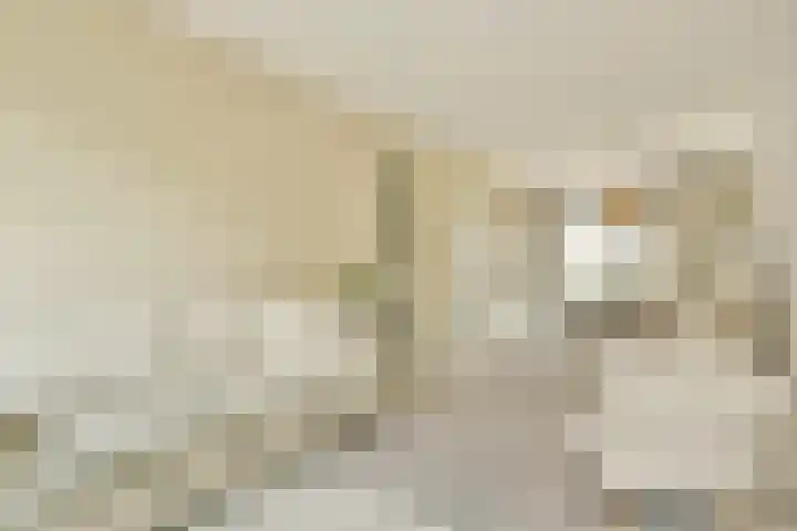 Veerstraat 1 1 Amsterdam thumbnail 5