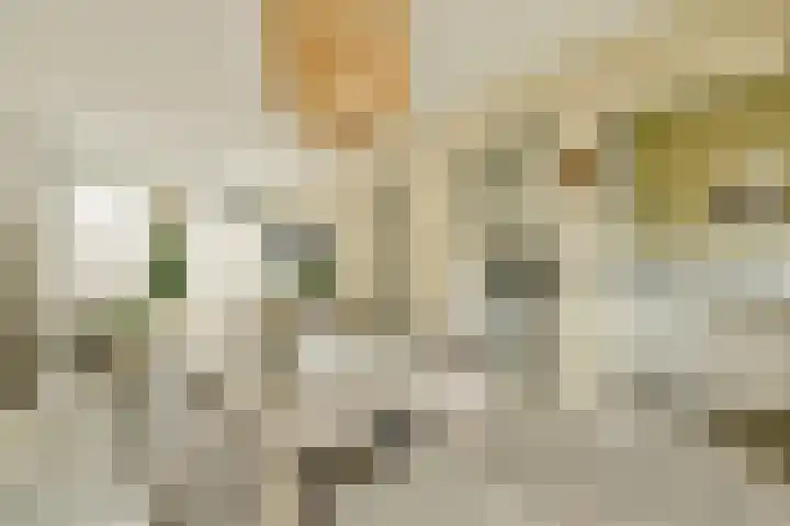 Veerstraat 1 1 Amsterdam thumbnail 7
