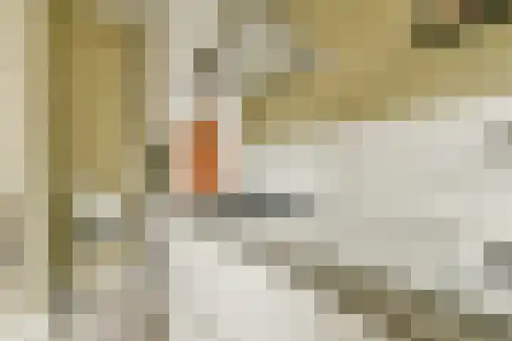 Veerstraat 1 1 Amsterdam thumbnail 8