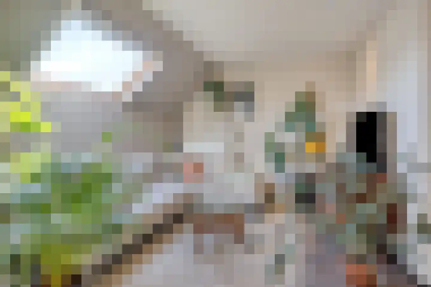 Veerstraat 10 e Boxmeer thumbnail 4