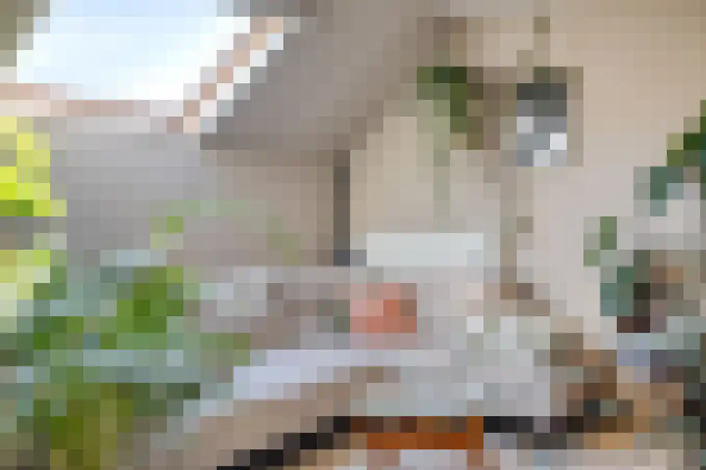 Veerstraat 10 e Boxmeer thumbnail 5