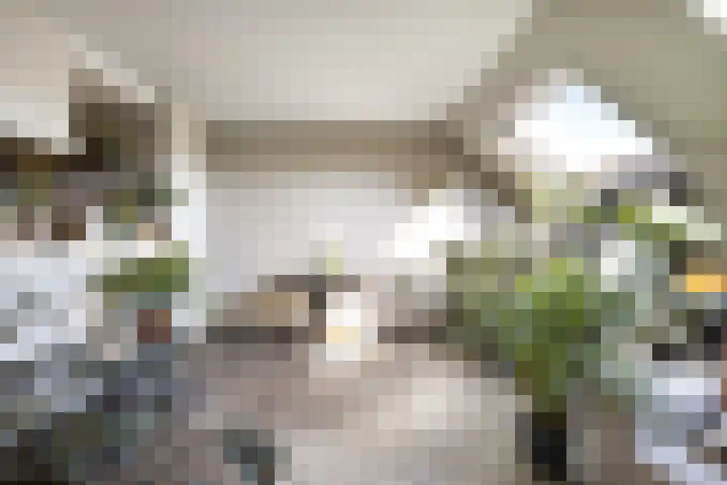 Veerstraat 10 e Boxmeer thumbnail 6