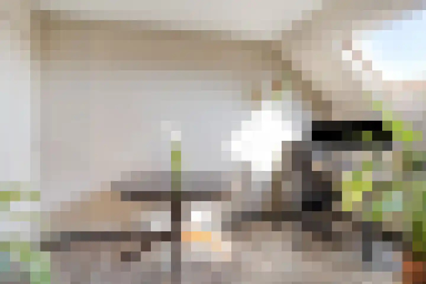 Veerstraat 10 e Boxmeer thumbnail 7