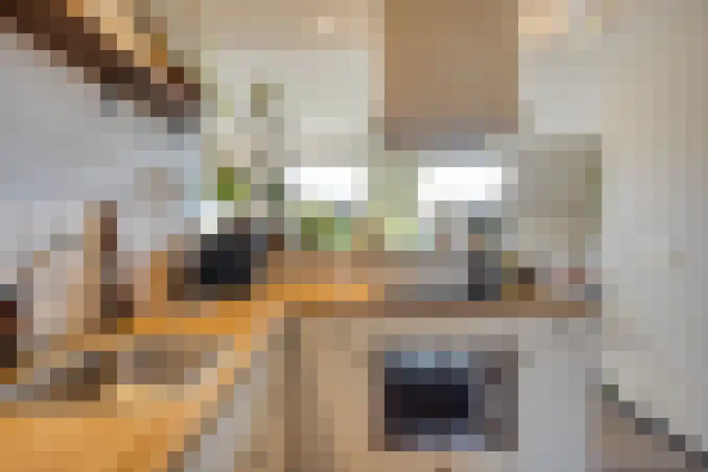 Veerstraat 10 e Boxmeer thumbnail 8