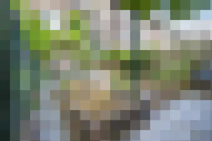 Veerstraat 13 1 Amsterdam thumbnail 17