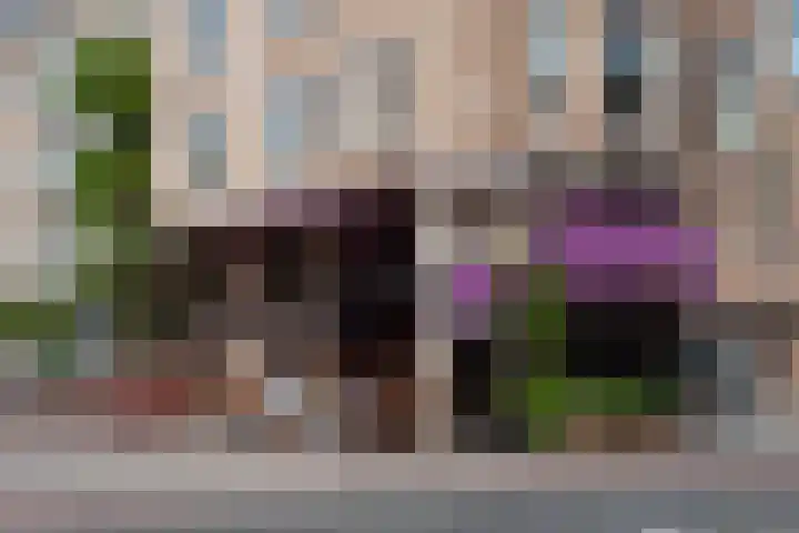 Veerstraat 13 1 Amsterdam thumbnail 21