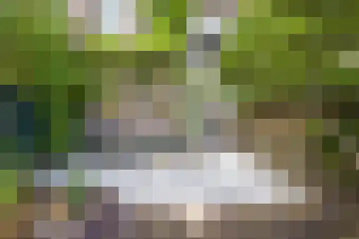 Veerstraat 13 1 Amsterdam thumbnail 5