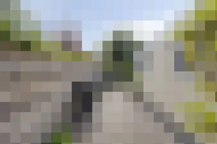 Veerstraat 13 Nieuw- en Sint Joosland thumbnail 10