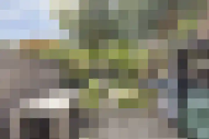 Veerstraat 13 Nieuw- en Sint Joosland thumbnail 11