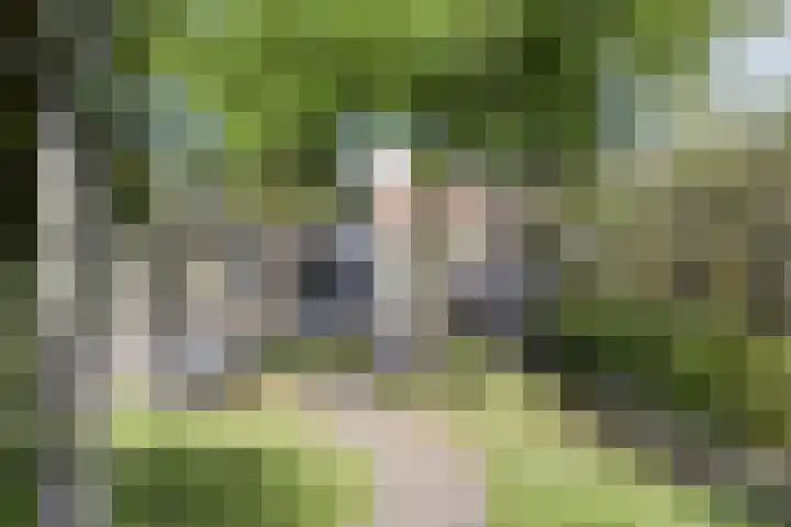 Veerstraat 13 Nieuw- en Sint Joosland thumbnail 12