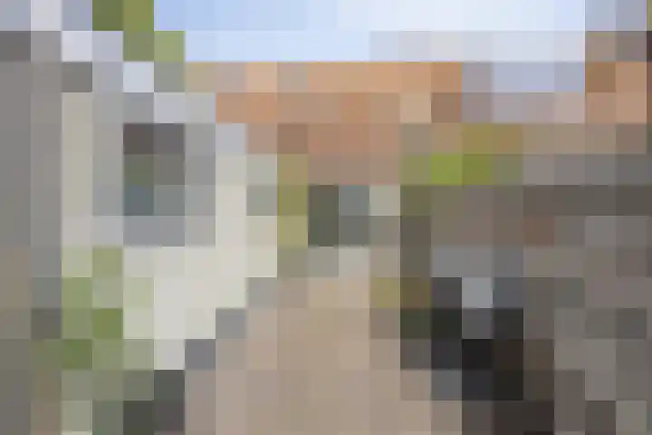 Veerstraat 13 Nieuw- en Sint Joosland thumbnail 13