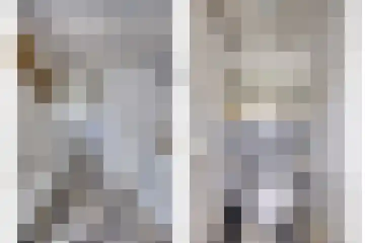 Veerstraat 13 Nieuw- en Sint Joosland thumbnail 8