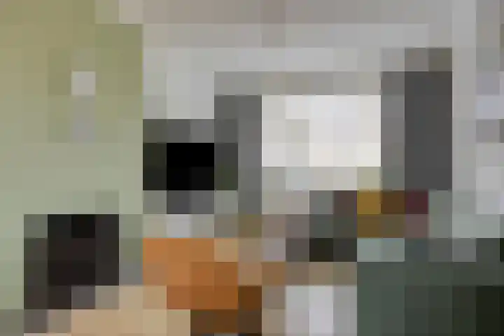 Veerstraat 13 Son en Breugel thumbnail 10