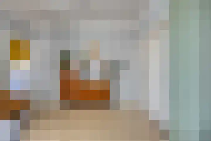 Veerstraat 13 Son en Breugel thumbnail 15