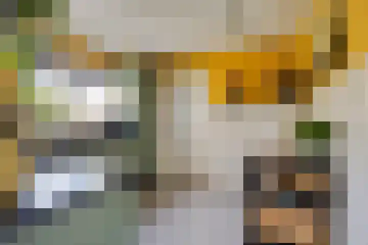 Veerstraat 13 Son en Breugel thumbnail 18