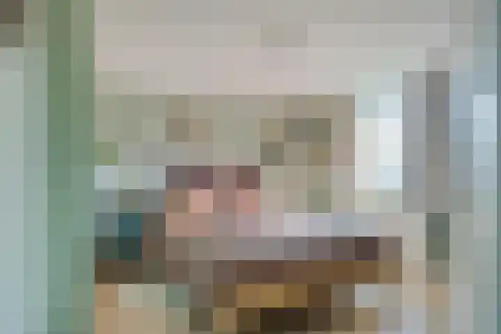 Veerstraat 13 Son en Breugel thumbnail 33