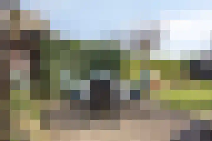 Veerstraat 13 Son en Breugel thumbnail 52