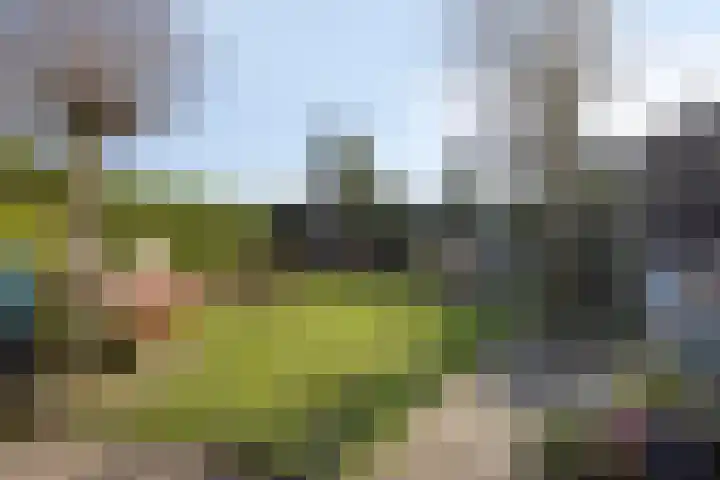 Veerstraat 13 Son en Breugel thumbnail 53
