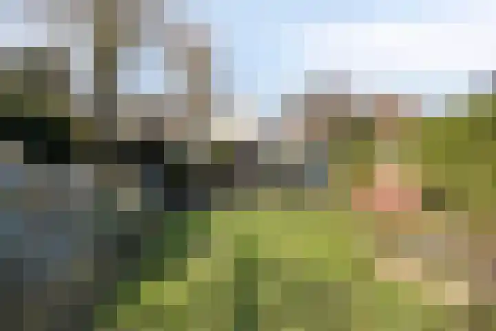 Veerstraat 13 Son en Breugel thumbnail 54