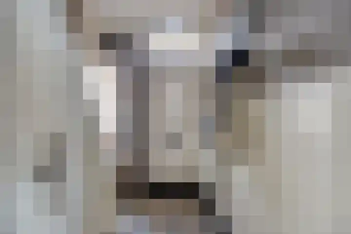Veerstraat 13 Son en Breugel thumbnail 8
