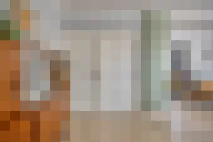 Veerstraat 13 Son en Breugel thumbnail 9