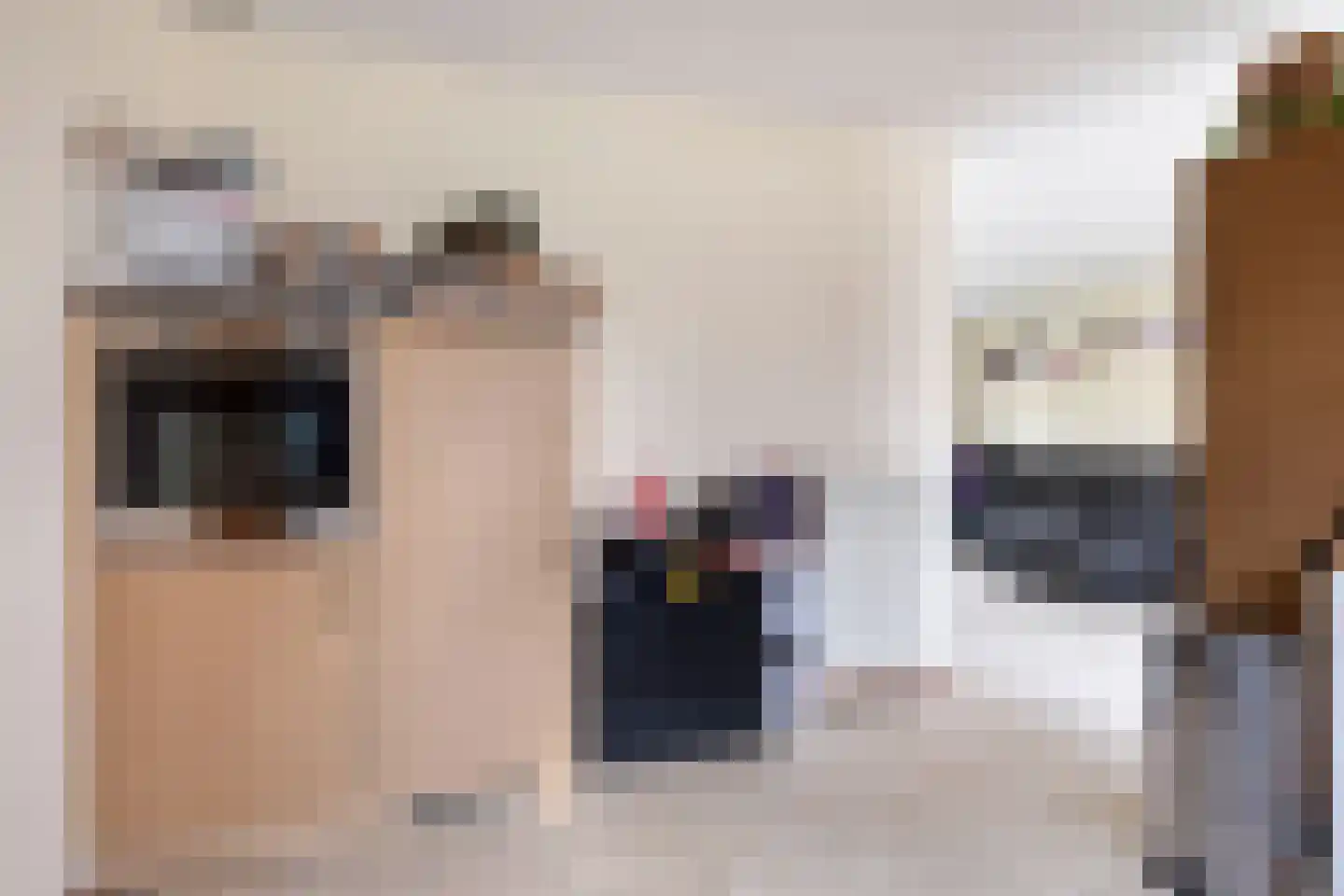 Veerstraat 15 Nieuw Namen thumbnail 11