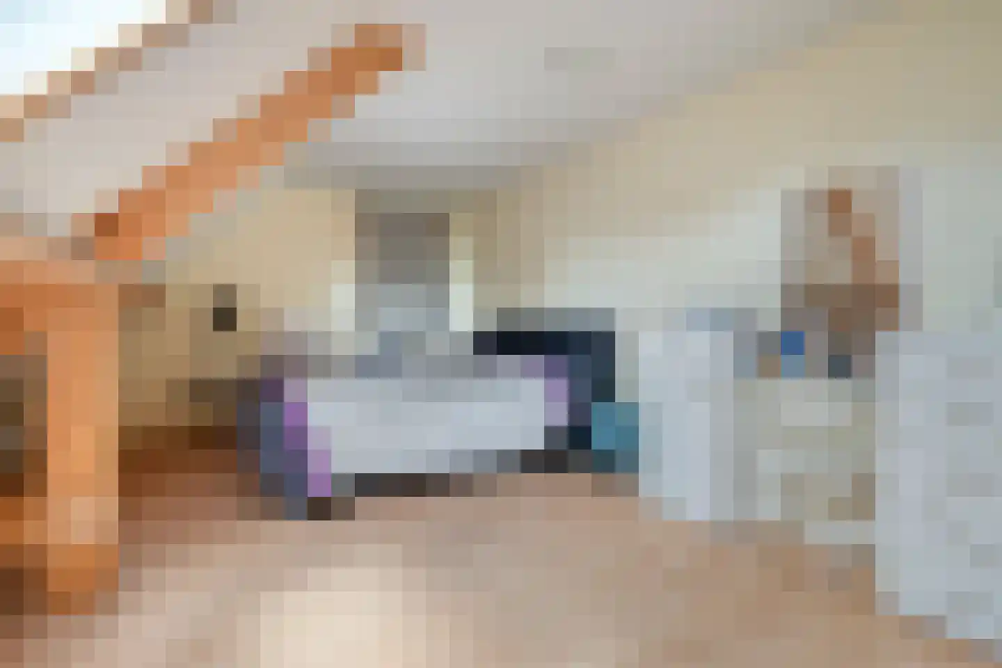 Veerstraat 15 Nieuw Namen thumbnail 14