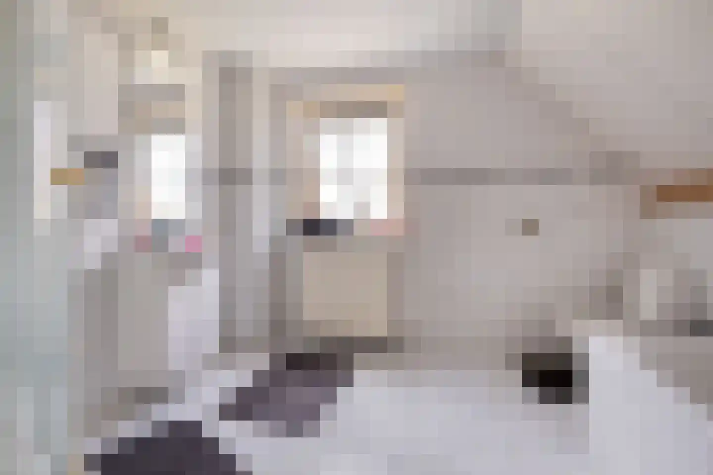 Veerstraat 15 Nieuw Namen thumbnail 18