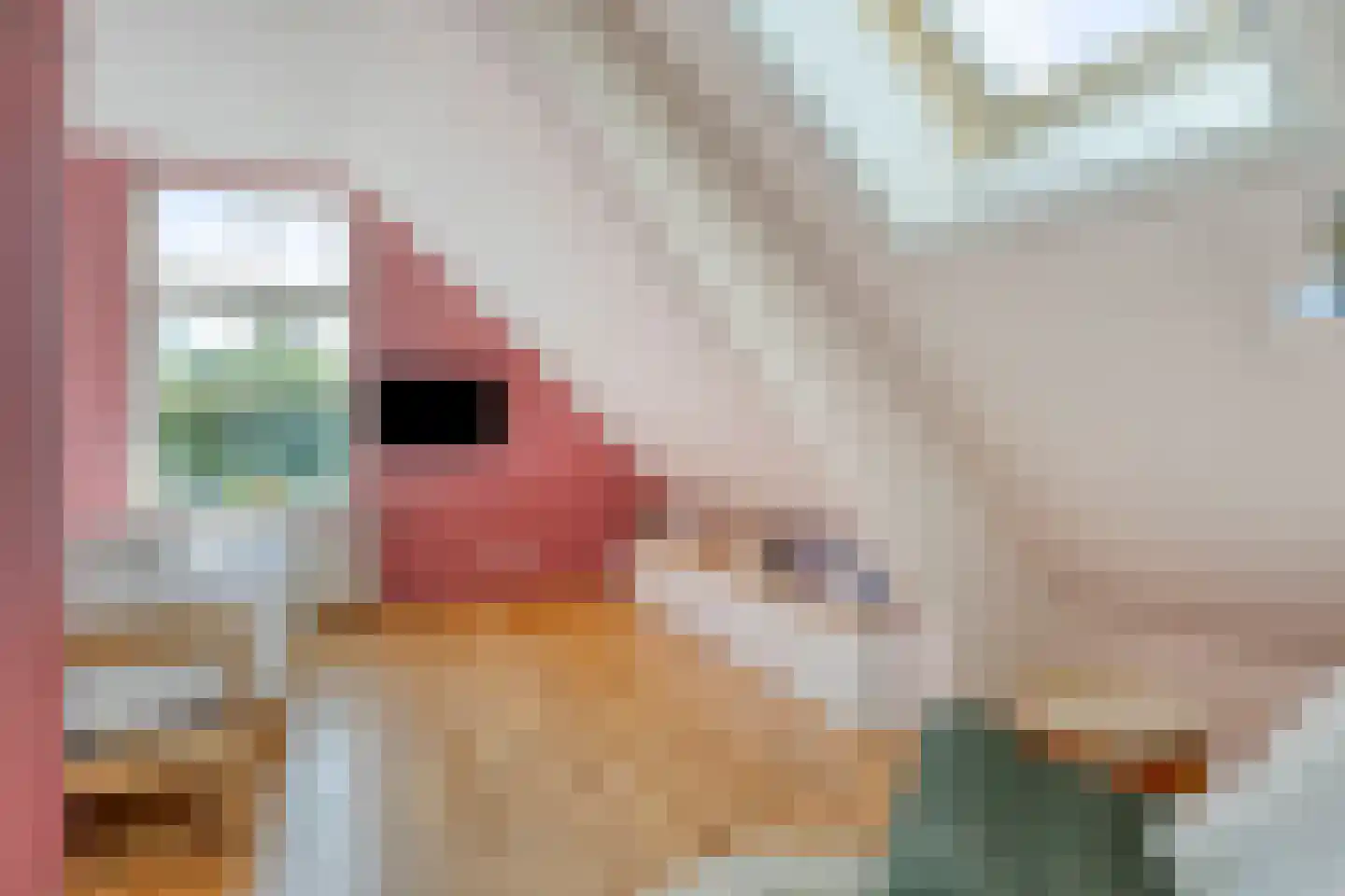 Veerstraat 15 Waspik thumbnail 22