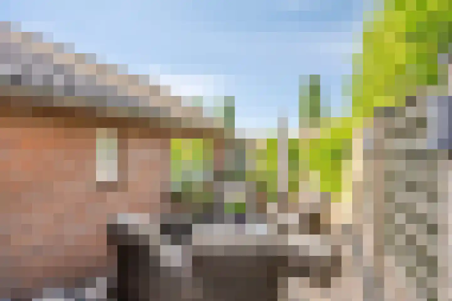 Veerstraat 15 Waspik thumbnail 32
